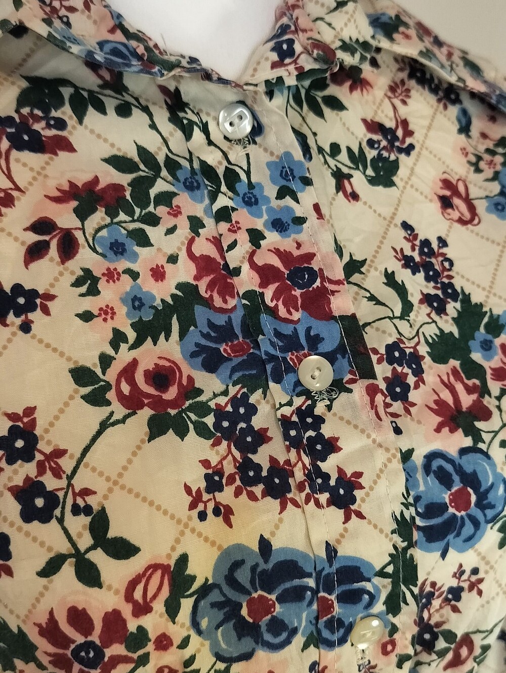 Floral Button-Front Tie-Waist Shirt - Cream with Blue & Red Flowers - Picture 3 of 4